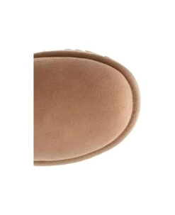 Ugg "ultra Mini" Ankle Boot -Urban Shoes World 23c034d3254a0cabaa0660197fcf5bcb