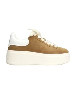 Ash Mobybekind Sneakers In Leather Color Suede