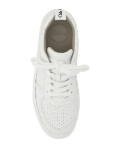 Chloé Lauren Sneakers -Urban Shoes World 9f91fb7746b760eec02ba10e0a26e284